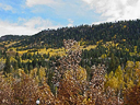 Durango Colorado 031