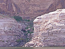 Lake powell-2004 132