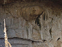 carlsbad caverns cave 067