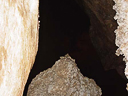 carlsbad caverns cave 113