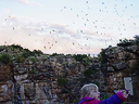carlsbad caverns cave 084