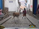 peru cuzco (62)