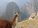 Machu Picchu Peru Inka (63)