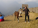 Machu Picchu Peru Inka (82)