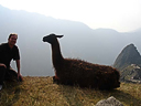 Machu Picchu Peru Inka (87)