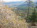 railroad Durango silverton 1 018