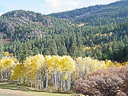 railroad Durango silverton 3 014