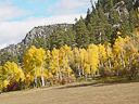 railroad Durango silverton 3 015