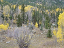 railroad Durango silverton 3 067