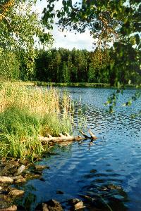 Chelyabinskaya Oblast
